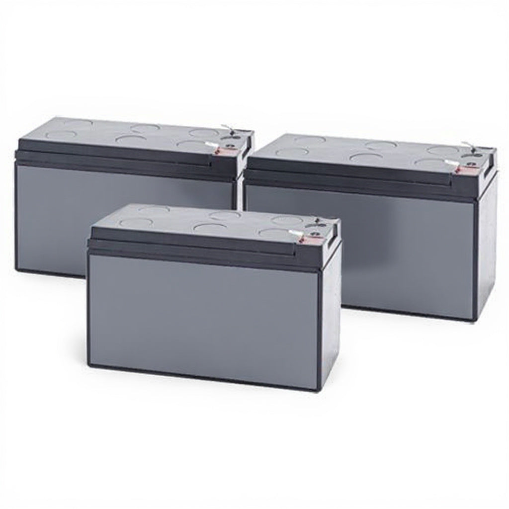 Emerson Liebert Battery - Fits PS-1000MT
